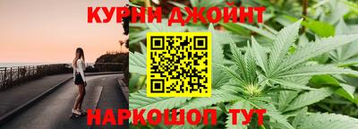 сатива Кулебаки