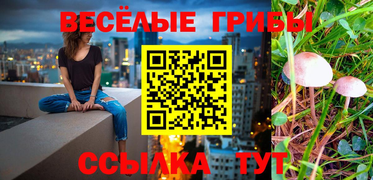 Керчь  Псилоцибиновые грибы GOLDEN TEACHER  Псилоцибиновые грибы Cubensis  Вход с VPN 